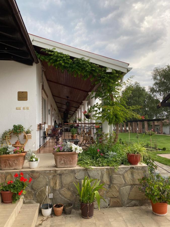 Country Club La Mesteceni เซเบช ภายนอก รูปภาพ